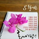 홍치킨 네이버블로그