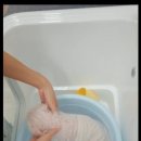 잘살개(J·DOG) 이미지