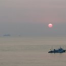 공룡알 팬션 횟집 이미지