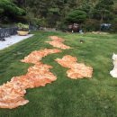 견생낙원 이미지