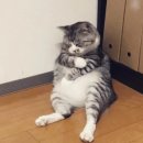 민정형외과병원 | 안양정형외과의원 야간진료 오십견 치료 후기