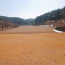 백령통나무펜션 이미지