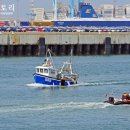 행복한 카 스토리 이미지