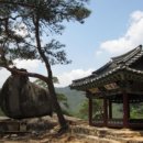 무릉도원면-41 이미지