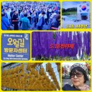 2018 5.18민중항쟁 정신계승을 위한 상설음악회 <오월의 노래> | 오월의 광주 5.18 44주년 전야제
