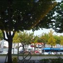 청안약국 이미지