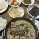 유정상회 이미지