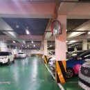 대연동 스포츠센타 이미지