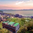 솔언덕펜션 네이버블로그