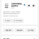 고양이 미용실 냥냥박사 이미지