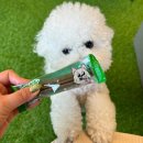 (주)메가덴탈 이미지