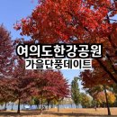 씨유 영등포제일점 | 여의도한강공원에서 즐기고 온 가을 단풍 데이트