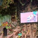 국가대표 고산태권도장 이미지