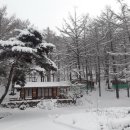 설매재자연휴양림 이미지