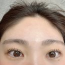 대구수성구눈썹 예원뷰티 황금동 속눈썹펌 // 바짝 올라가는 속눈썹펌