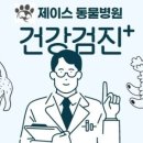 제이스동물병원 이미지