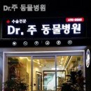 Dr. 주 동물병원 이미지