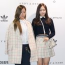 보미 이미지
