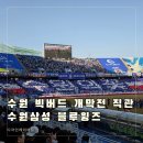 수원삼성블루윙즈경기 | 수원월드컵경기장 빅버드 개막전 직관 수원삼성 블루윙즈 경기 후기