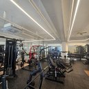 스파르타짐 나성점 이미지