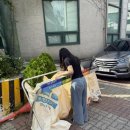 산드래미 이미지