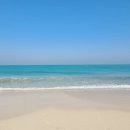 모닝비치 이미지