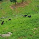 상아농장 이미지