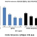 넥스젠