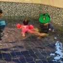 킹덤키즈-M 이미지