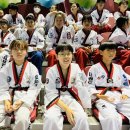 경희대박사태권도 이미지