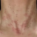 더윤슬피부과의원 이미지