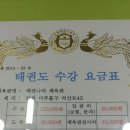 용인대태권나라 이미지