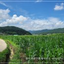 경남고성부동산토지매매 - 상리면 아름다운 들판풍경의 토지 전원주택지매매 1544제곱미터 (466) 이미지