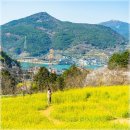 가천다랭이마을 이미지