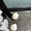 배불뚝 이미지