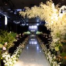 에스로드 이미지