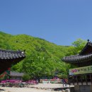 백운봉편의점