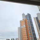 삼환나우빌(아) 이미지