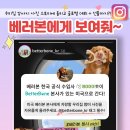 (주)베러펫 이미지