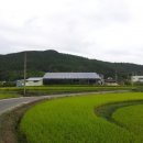 양지 태양광발전소 이미지