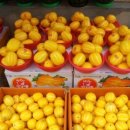 통통한과일 - 부산진구 새싹로 209 | 통통한과일