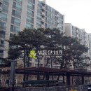 진산로66번길 Daum카페