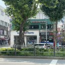 뽕잎사랑봉천점 이미지