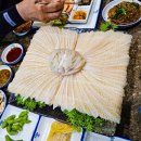 독도참가자미 이미지