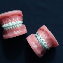 라온미소치과의원 이미지