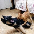 하*운