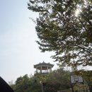 광운관광농원 이미지