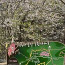 천주산 등산 도로변 이미지