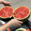 예은서점 | 스피노사우루스 아이깁티아쿠스는 내가 이러길 원하지 않을거야