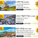 롯데여행사 - 수영구 남천동로 19 | 롯데여행사